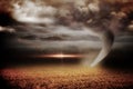 Stormy sky with tornado over field Royalty Free Stock Photo