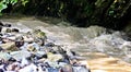 Stormy small mountain river.