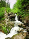 A stormy stream flowing down from the mountains, bending around stones on its way Royalty Free Stock Photo