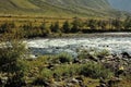 A stormy stream of a shallow mountain river with a rocky bottom flowing through a picturesque valley Royalty Free Stock Photo