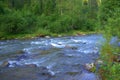 A stormy stream of a shallow mountain river with a rocky bottom and grassy banks Royalty Free Stock Photo