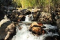 A stormy stream of a swift mountain river flows through the forest, bending around large stone boulders