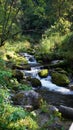 A stormy stream of waterfall against the background of fallen