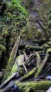 A stormy stream of waterfall against the background of fallen