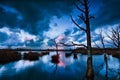 Stormy sunset over bog with dead trees Royalty Free Stock Photo