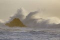 Stormy wave splash at sunset