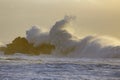 Stormy wave splash at sunset