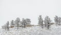 Stormy winter landscape on Horsetooth Reservoir in Colorado