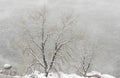 Stormy winter landscape on Horsetooth Reservoir in Colorado