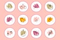 Story highlight icons set of doodle fruits elements. Logo design for garden shop, eco product. Hand drawn Royalty Free Stock Photo