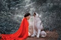 Story of a red cap with a scarlet long flying fluttering cloak, a dark-haired girl covers her face with her hands and Royalty Free Stock Photo