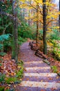 Stoun stairs in the middle of nature in a rainy autumn landscape. Autumn wet forest Royalty Free Stock Photo