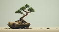 Stout Minimalist Bonsai Tree: Remarkable Hd 3d Rendered Image
