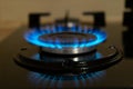 stove gas burner. blue flame