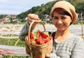 Straberry Farm in Baguio City, Philippines Royalty Free Stock Photo