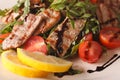 Straccetti di manzo salad with beef, arugula and tomatoes macro. Royalty Free Stock Photo