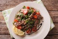 StraccettiÃ¯Â¿Â½salad with grilled beef, arugula and tomatoes close-u