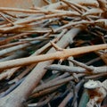 Strack of wooden branches Royalty Free Stock Photo