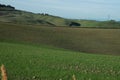 Hills on the road to Volterra. Volterra. Pisa. Tuscany. Italy