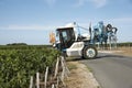 Straddle tractor spraying vines in France