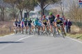 Strade Bianche 2012