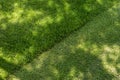 Straigh diagonal line of mowed tall grass at home backyard or city park. Lawn trimming service and garden maintenance Royalty Free Stock Photo