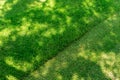 Straigh diagonal line of mowed tall grass at home backyard or city park. Lawn trimming service and garden maintenance Royalty Free Stock Photo