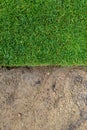 Straigh line of new freshly installed green rolled lawn grass . dirt watered soil prepared for installation at city park Royalty Free Stock Photo