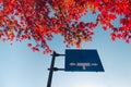 Straight ahead, left and right turn sign Royalty Free Stock Photo