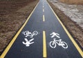 Straight asphalt bike lane between the muddy winter countryside