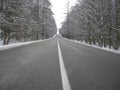 Straight asphalt road after snowfal among snow covered trees