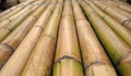 Straight Bamboo Poles Royalty Free Stock Photo