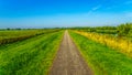 Straight bicycle path over the along the the bird sanctuary of Veluwemeer