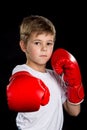 Straight boxing attack kick, demonstration in red boxing gloves. Confident serious boxer portrait