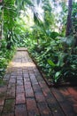Straight brick walkway leads through lush green jungle garden Royalty Free Stock Photo