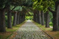 A straight cobblestone path traverses through a park, bordered by tall trees creating a picturesque view, Cobblestone path