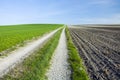 Straight country dry road, plowed field and green meadow