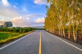 Country road with row of Eucalyptus trees