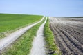 Straight country road, plowed field and green grass