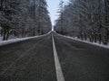 Straight dark asphalt road after snowfal among snow covered trees