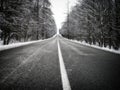 Straight dark asphalt road after snowfal among snow covered trees