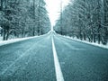 Straight dark asphalt road after snowfal among snow covered trees