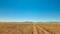 Straight desert dirt road track passes a grassland towards mountains.