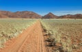 Straight desert dirt road track passes grassland towards mountains.