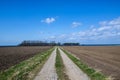 Straight dirt road Royalty Free Stock Photo