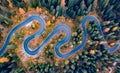 Straight down view of winding road in autumn forest.