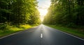 A straight, empty road stretches between dense deciduous forests on both sides. Royalty Free Stock Photo