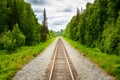 Straight forward, railtracks in the alaskan wilderness Royalty Free Stock Photo