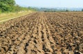 Straight furrows on a plowed or ploughed field