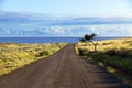 Straight gravel road in Easter Island Royalty Free Stock Photo